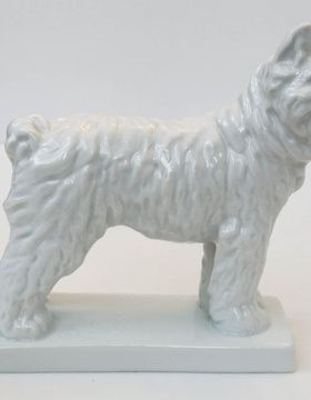 Белая Собака