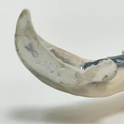 Фигурка Лисица крадущаяся модерн 1900 гг Германия - View 7