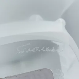 "Птица" - View 6