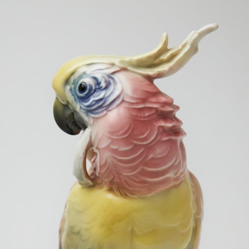 Дуэт попугаев - View 7