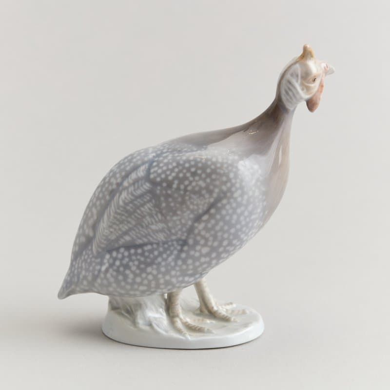 Цесарка - View 3