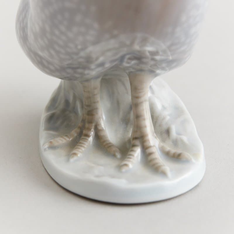 Цесарка - View 6