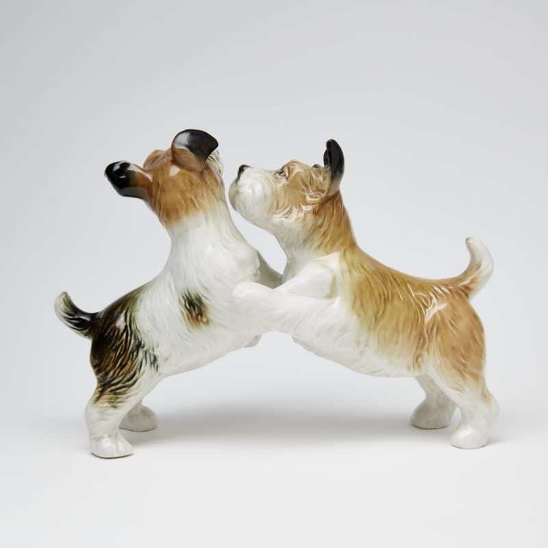 Терьеры играются - View 4