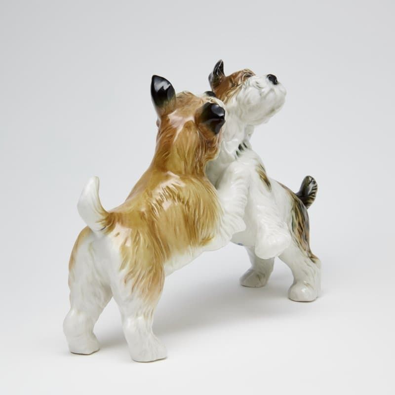 Терьеры играются - View 6