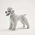 Статуэтка Пудель Rosentha 1960-1979 Германия
