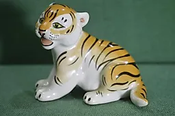 Тигренок, маленький тигр