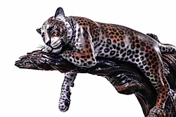 Ягуар на дереве