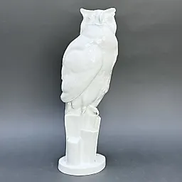 Сова на скале