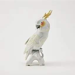 Попугай Какаду