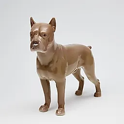 Боксер