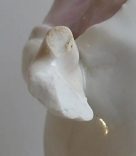 Кот и повар - View 2