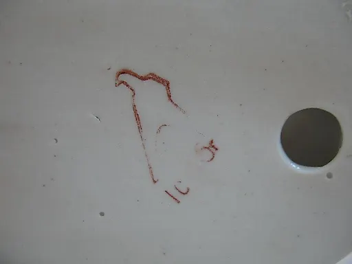 Девочка в спортивном костюме с колли - View 4