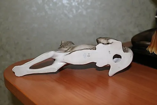 Собака овчарка ЛФЗ - View 3