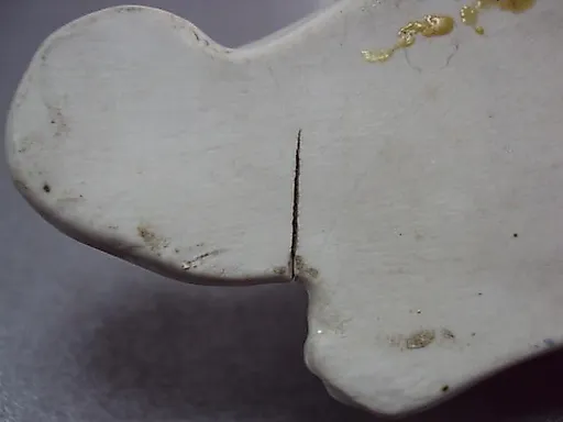 Тигр с мясом - View 6