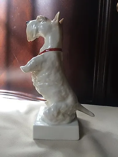 Скотч терьер - View 2