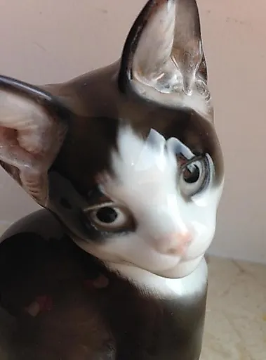 Котёнок - View 2