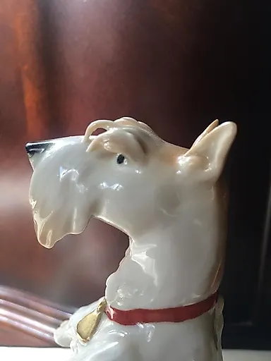 Скотч терьер - View 4