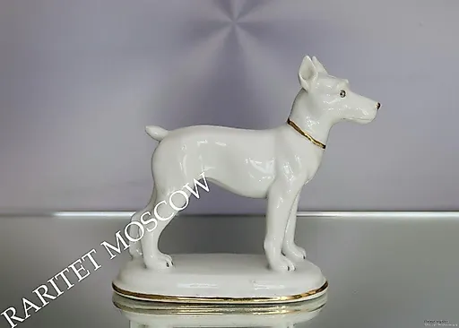 Собака - View 2