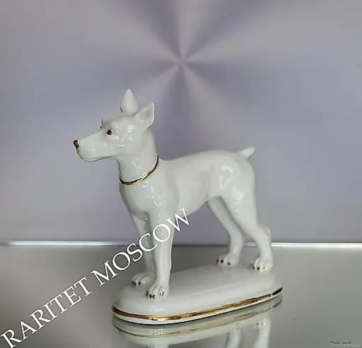 Собака - View 3