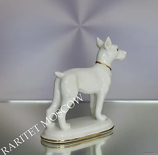 Собака - View 4