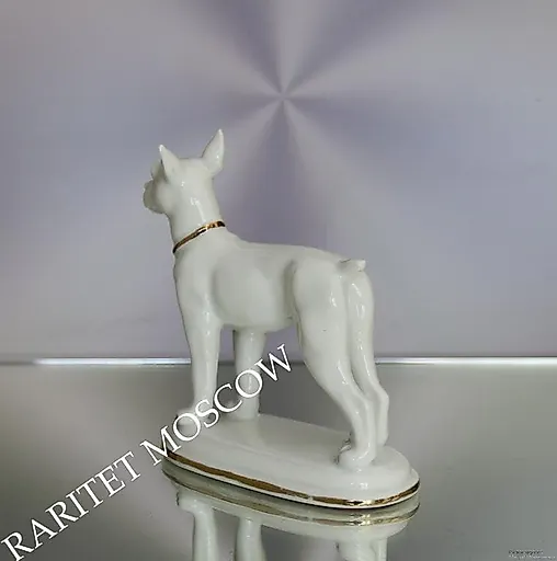 Собака - View 5