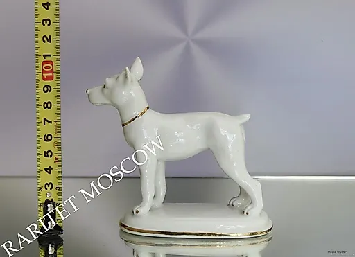 Собака - View 6