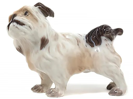 Денди динмонт терьер - View 2