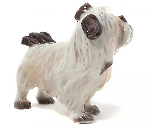 Денди динмонт терьер - View 3