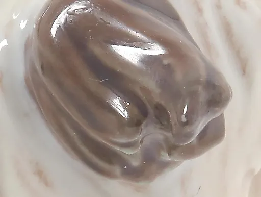 Денди динмонт терьер - View 5