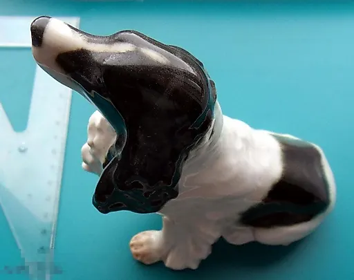 Спаниель - View 3