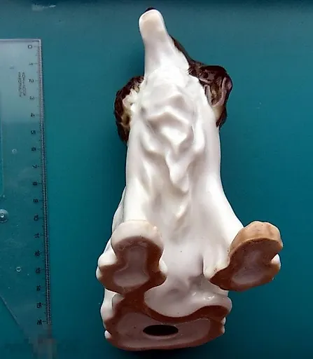 Спаниель - View 5