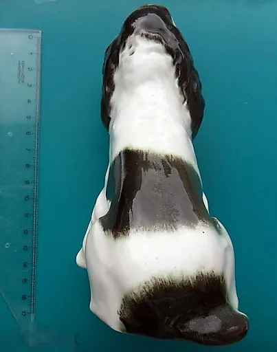 Спаниель - View 6