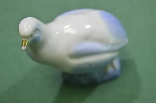 Птица Куропатка - View 6