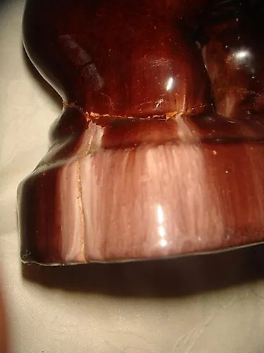 Медведь бурый - View 4