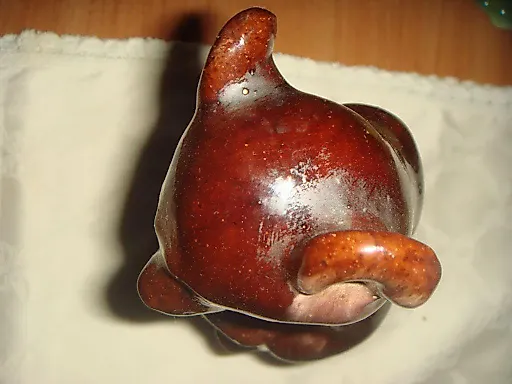 Медведь бурый - View 6