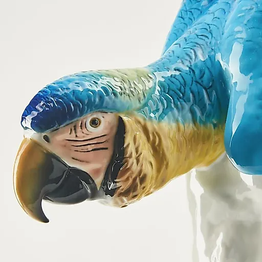 попугай Ара - View 5