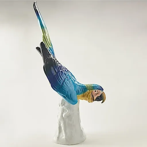 попугай Ара - View 6