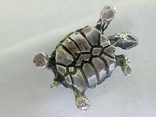 Черепаха, - View 2