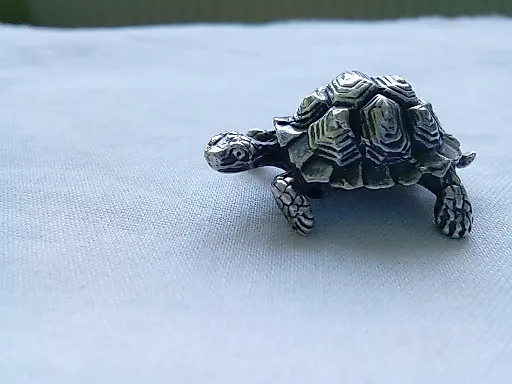 Черепаха, - View 3