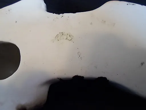 Тигр с мясом - View 6