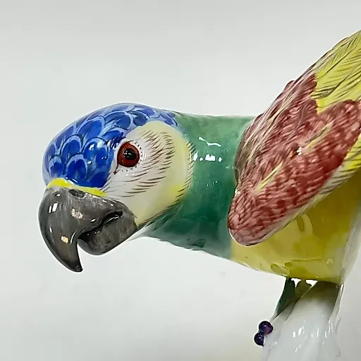 Попугай, спускающийся с высоты - View 9