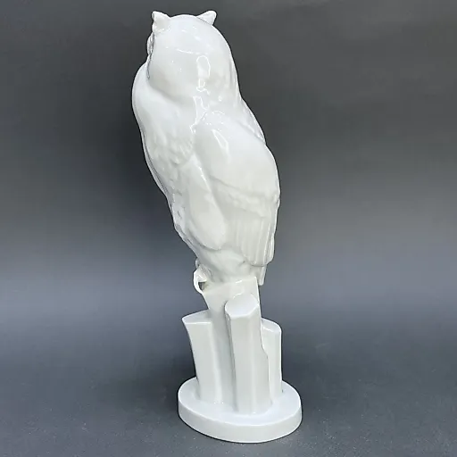 Сова на скале - View 3