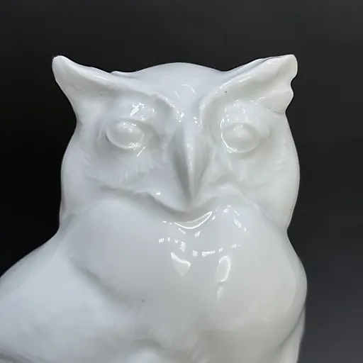 Сова на скале - View 2