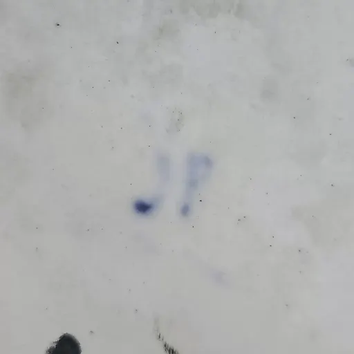 Флакон без крышки Франция 1850г - View 11