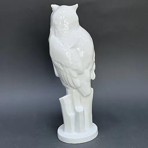 Сова на скале - View 4