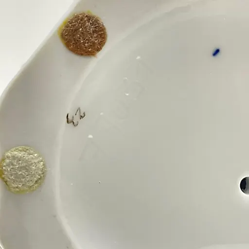 Попугай, спускающийся с высоты - View 15