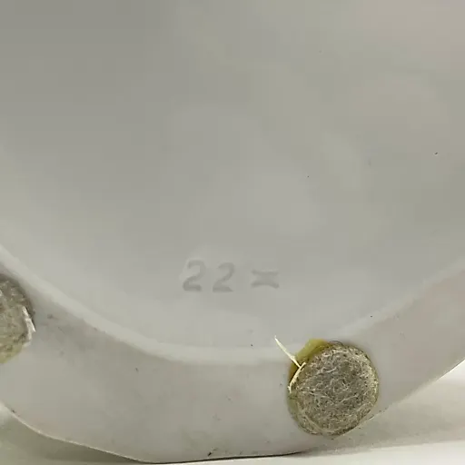 Попугай, спускающийся с высоты - View 14