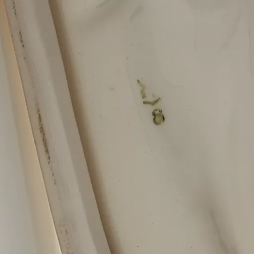 Статуэтка Гончие Hertwig & Co - View 7