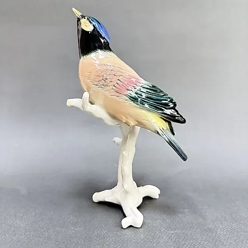 "Свиристель" Карл Энс 1950 гг. - View 3