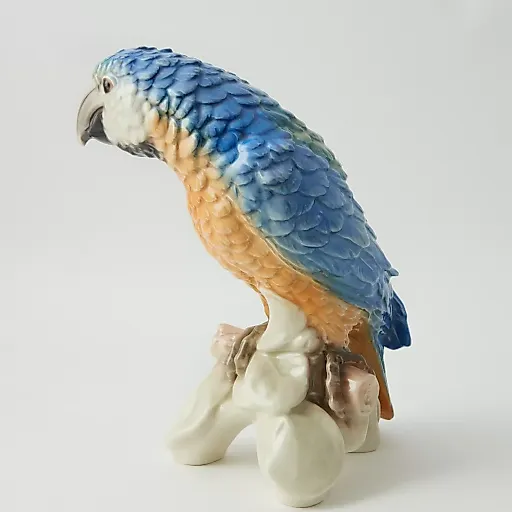 Попугай - View 5